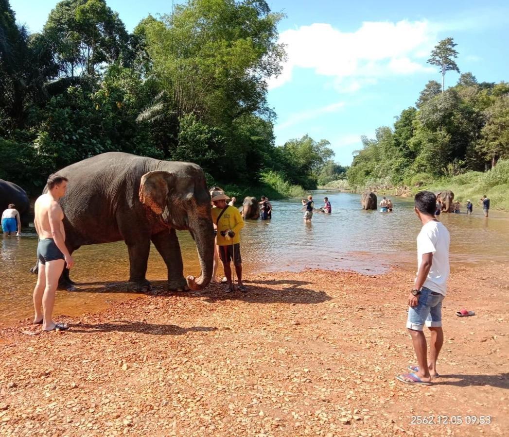 Vakantiepark Khao Sok Blue Mountain Khao Sok National Park